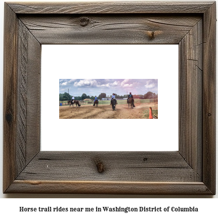 horse trail rides near me in Washington, District of Columbia